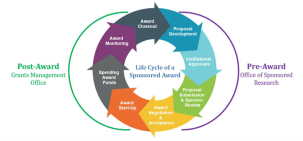 Figure 1: Lifecycle of a Sponsored Award. A circular flow graphic that depicts the steps of the grant process. In the pre-award stage, the steps, in order, are: Proposal Development, Institutional Approvals, Proposal Submission and Sponsor Review, and Award Negotiation and Acceptance. In the post-award stage, the steps, in order, are: Award Start-Up, Spending Award Funds, Award Monitoring, Award Closeout. In the graphic the Pre-Award steps are handled by the Office of Sponsored Research and the Post-Award are handled by the Grants Management Office. At SUNY Cortland the Research and Sponsored Programs Office takes on both roles while working closely with RF SUNY throughout the process.